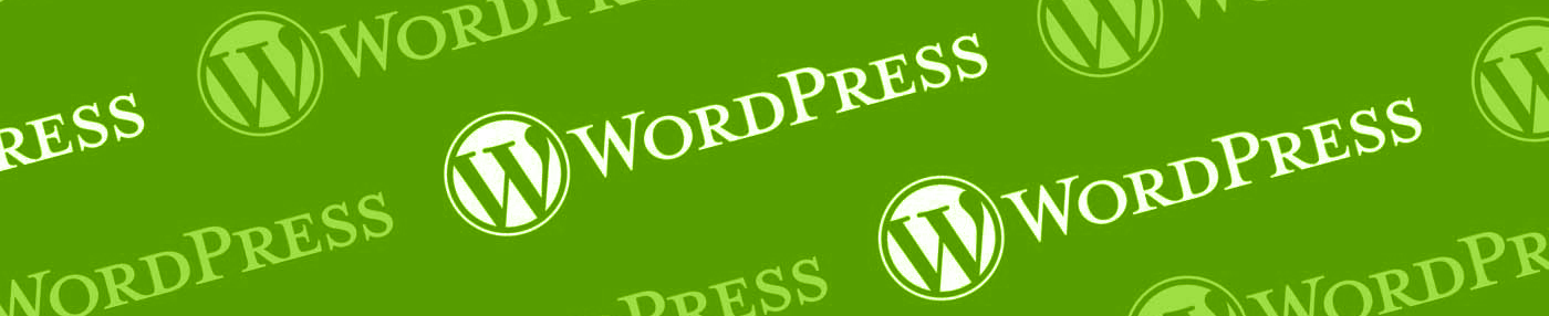 Programmatore WordPress a Torino